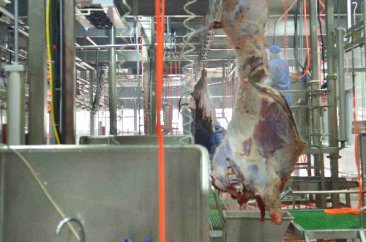 南宫NG·28(中国)相信品牌力量,南宫28娱乐相信品牌的力量,NG28相信品牌的力量食品